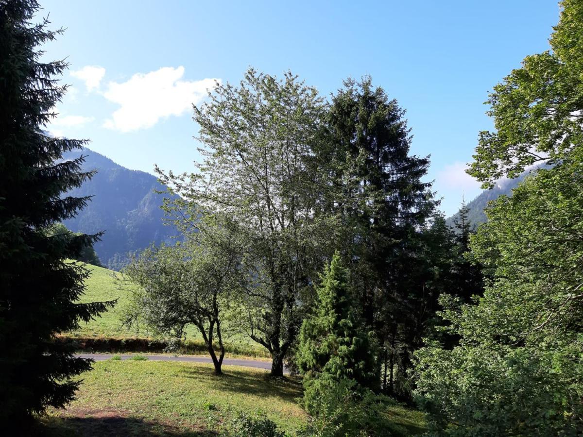Chalet Tante Emma Vacheresse Exteriör bild