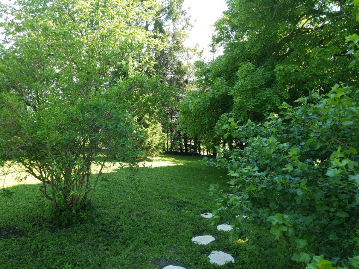 Chalet Tante Emma Vacheresse Exteriör bild